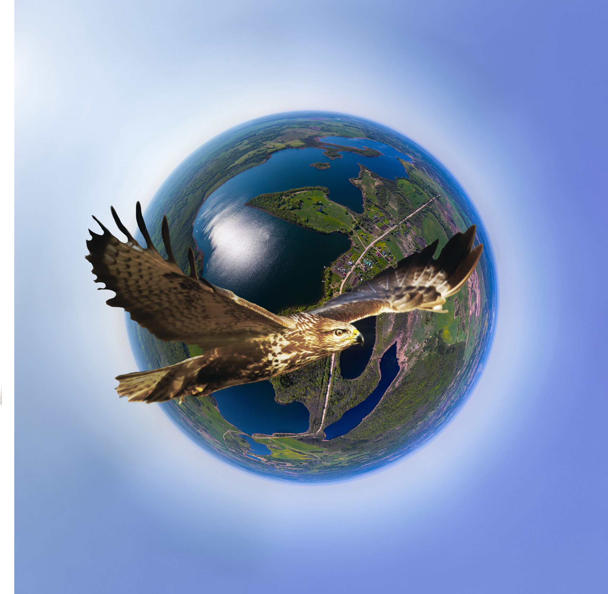 ОАО «Промагролизинг» за 2021 год в рамках Указа № 146 закупило более 6 800 единиц техники и оборудования